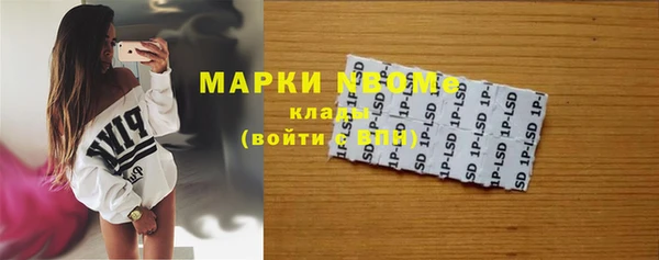 сатива Аркадак