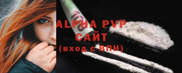 сатива Аркадак