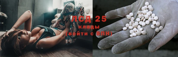 сатива Аркадак