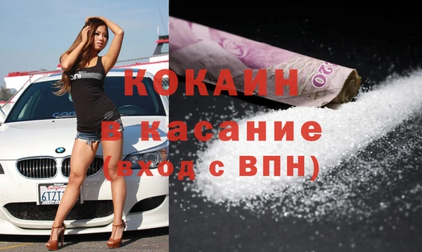 сатива Аркадак