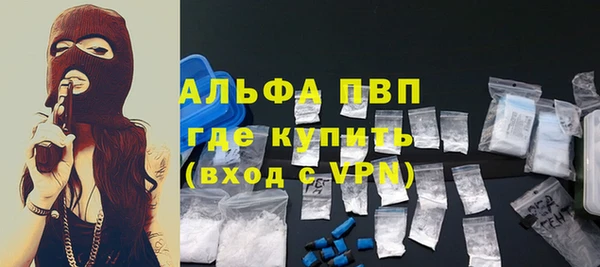 сатива Аркадак