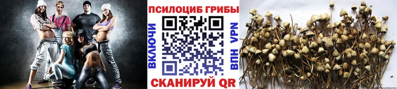 гидра ТОР  Сухой Лог  Галлюциногенные грибы прущие грибы 